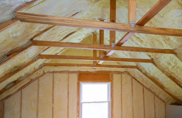 Best Spray Foam Insulation in Ozk, AR