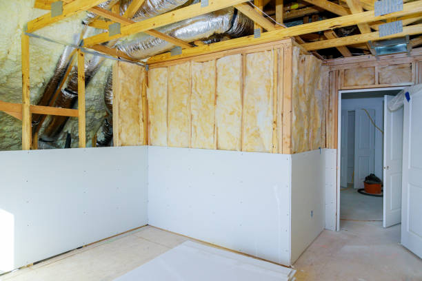 Best Cellulose Insulation in Ozk, AR
