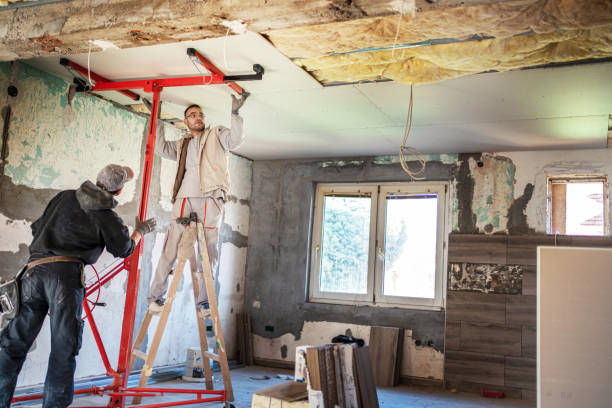 Best Specialized Insulation Services in Ozk, AR